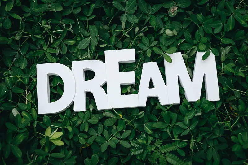 Descanso reparador e importancia del sueño